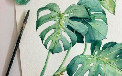 Taller d’Aquarel·la Botànica